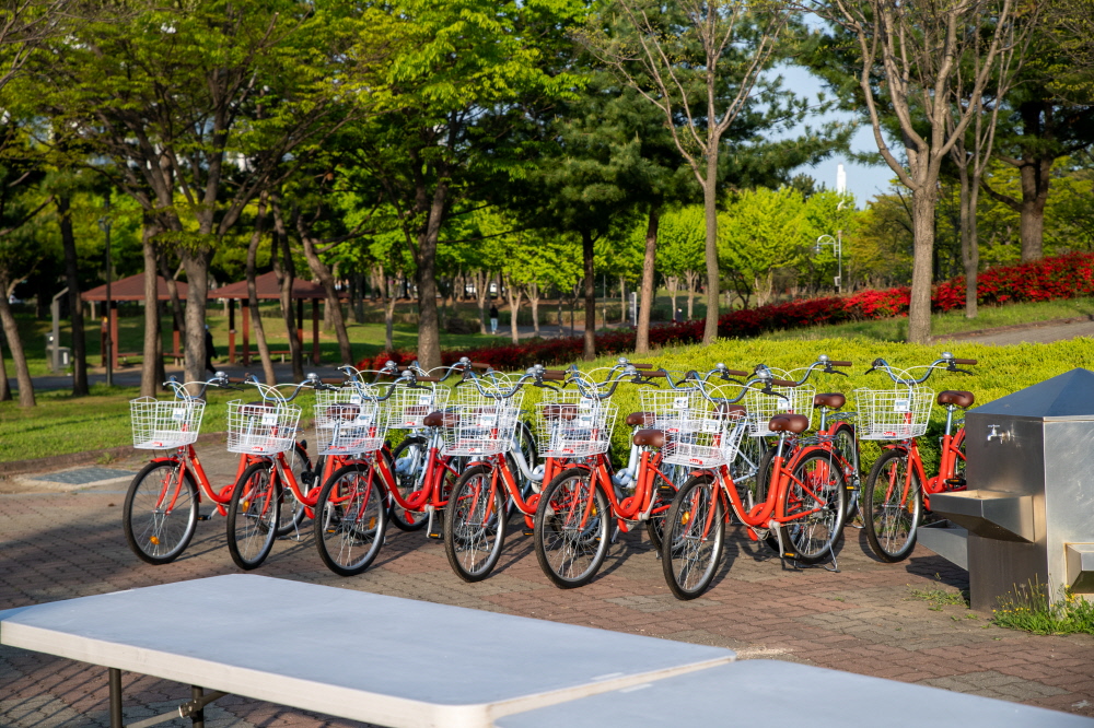 �Ȼ� ������ ����