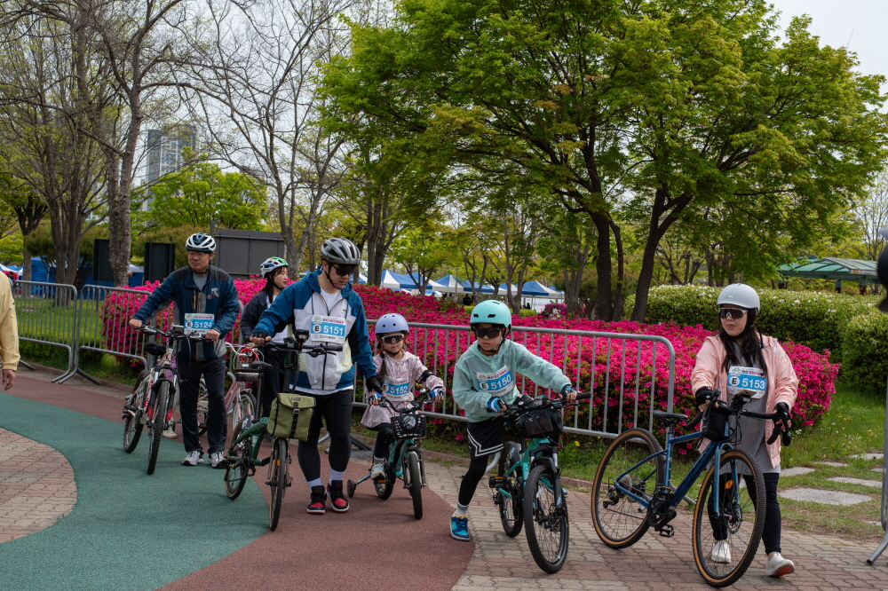 �Ȼ� ������ ����